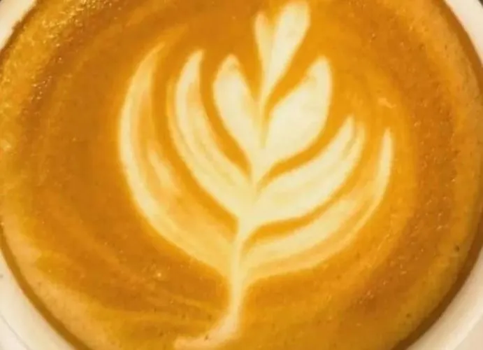 Austria Academy מלון